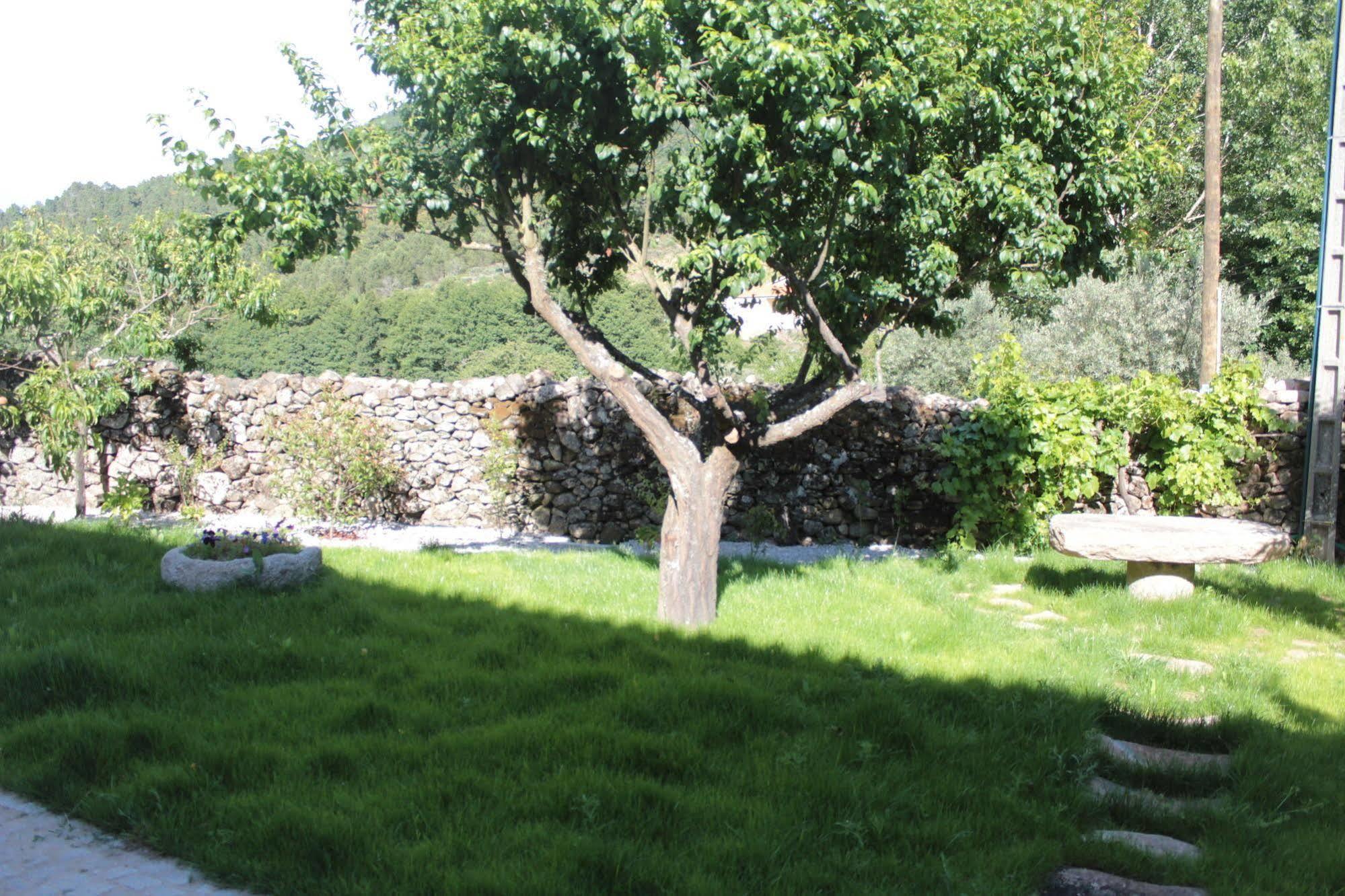 Villa Casa Grande Do Seixo à Vidago Extérieur photo